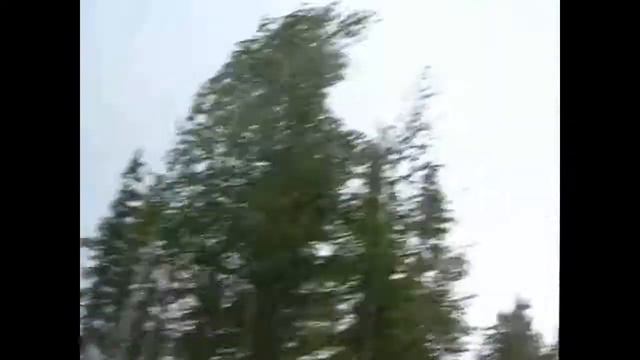 Гроза в тайге на лесоустроительном таборе смотреть онлайн