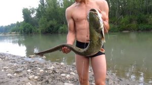 Ловим Сома на лягушку.Перемет.25 июля 2017