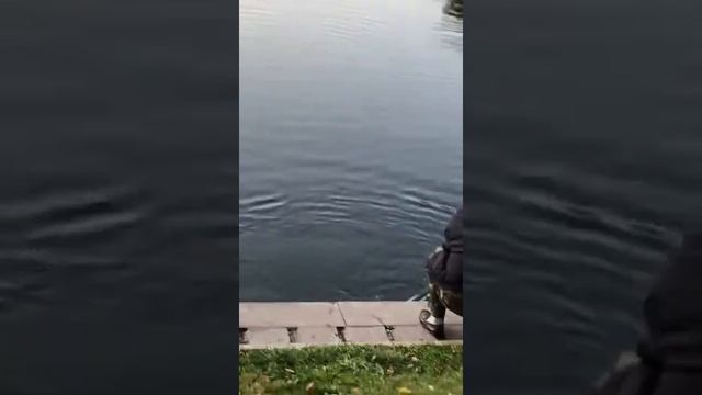 Ловля рыбы на Патриарших прудах смотреть онлайн