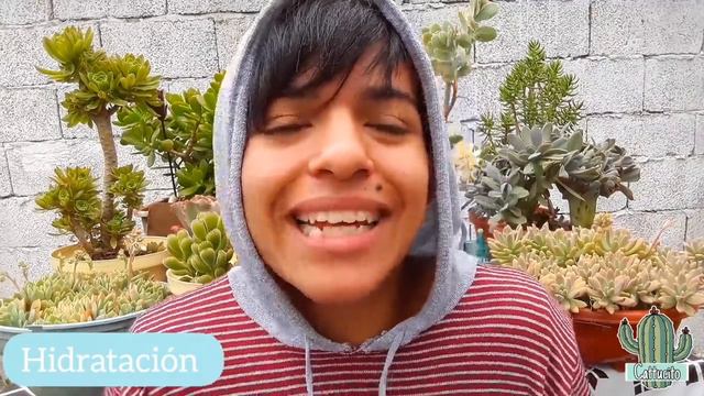 COMO LOGRAR SUCULENTAS GIGANTES | Cattu! смотреть онлайн