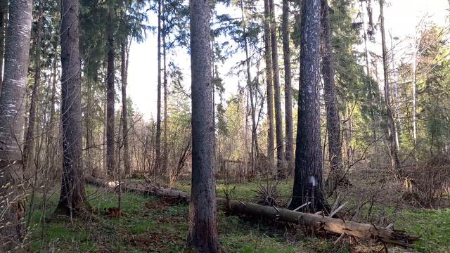 Chris Wonderful - "Откуда берется вдохновение" смотреть онлайн