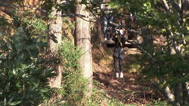 Тояма Япония