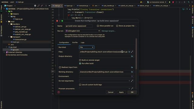 How To Debug Go (Golang) Application Remotely  In GoLand