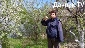 Как опылять деревья если у вас нет на даче пчёл?