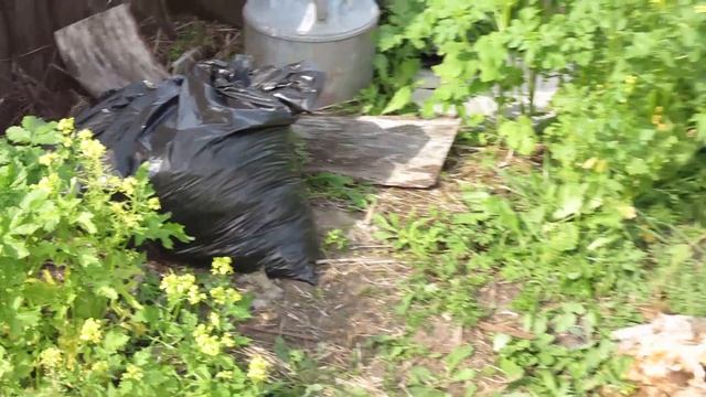 Правильная борьба с сорняками смотреть онлайн