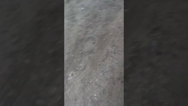 Ваз 2112 заводится и сразу глохнет. Дмрв смотреть онлайн