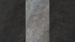 Ваз 2112 заводится и сразу глохнет. Дмрв