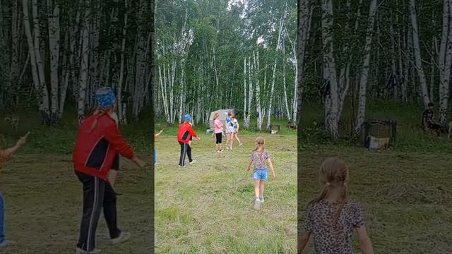 бег в упряжке смотреть онлайн