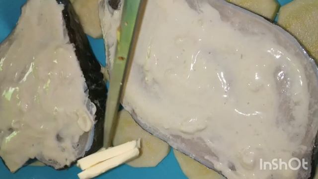 Шоу и Концерты