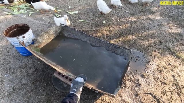 РАЗБОМБИЛИ ПРИХОЖКУ БУДЕТ НОВАЯ ДВЕРЬ И ПОРОЖКИ / НАВАРИЛИ КУКУРУЗЫ / ПОЛУЧИЛИ ПАЙ / ДОМАШНИЙ БЫТ смотреть онлайн