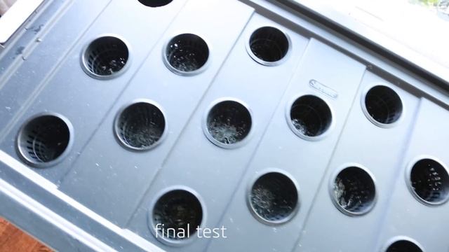 Hydroponic System Build - DWC Water Spinach Pepper and Herbs смотреть онлайн