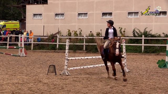 Конкур, осень 2017 смотреть онлайн