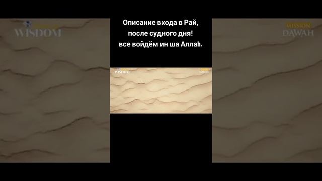 #хадис #даават #рекомендации #сура #islam #мусульманин #ислам_религия_мира_добра☝️ #дин смотреть онлайн