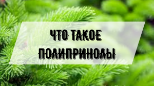 Что такое полипренолы