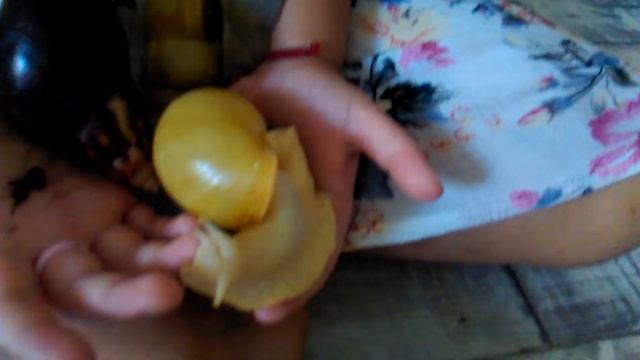 Наши домашние животные улитки Ахатины смотреть онлайн