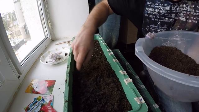 ВЫРАЩИВАНИЕ РАССАДЫ ТОМАТОВ И ОГУРЦОВ: посев семян в почву после замачивания смотреть онлайн