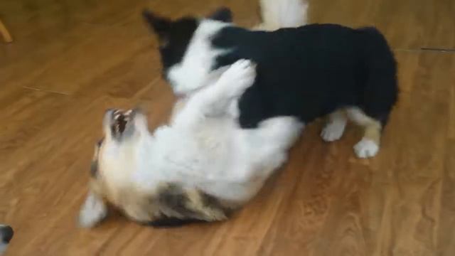 Стиль Лайф Фьюча, 4 месяца смотреть онлайн