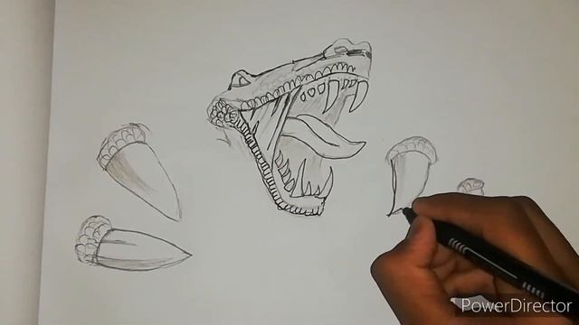 How to draw 3d crack in paper || Trex drawing || Step-by-Step смотреть онлайн