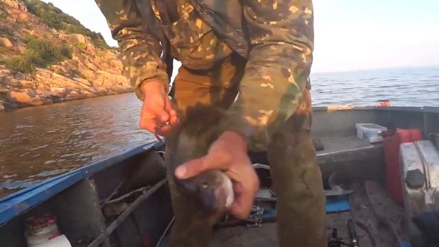 Ловля рыбы | Клюнула РЫБА ЗУБАТКА! смотреть онлайн