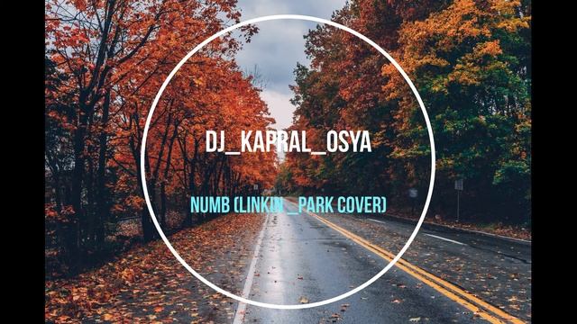 dj Kapral Osya Numb Linkin Rark cover смотреть онлайн