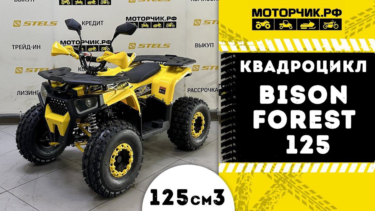 Квадроцикл Bison Forest 125 смотреть онлайн