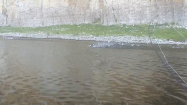 Речка Буотама РС(Я) смотреть онлайн