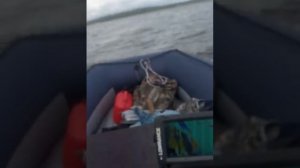 Групер 335 W на волне (Волна, ветер)