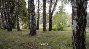 ЭТА МЕЛОЧЬ РАСКРЫЛА НЕВЕРНУЮ ЖЕНУШКУ. Интересные истории из жизни. Жизненные истории. Аудио рассказ