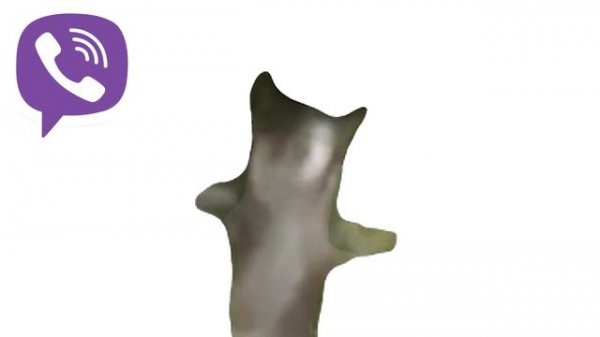 Happy Happy Cat but Social Media ringtones