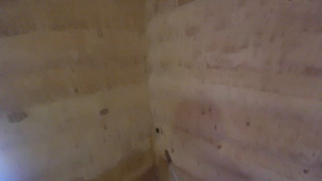 Как избавиться от короеда в доме? - центр дезинфекции "Чикой-Сервис" смотреть онлайн