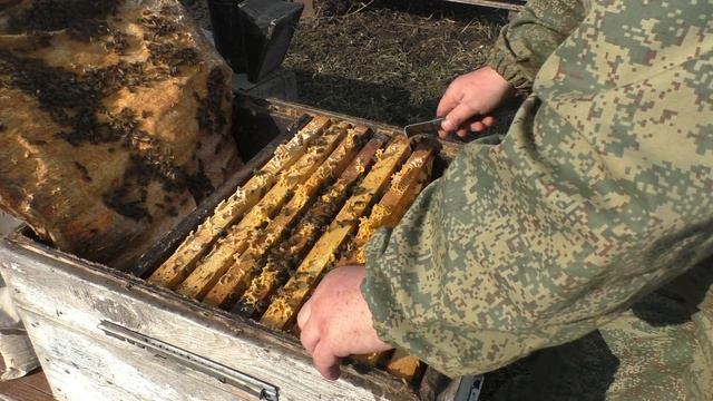 ЧТО С МАТКОЙ ? ТРУТЕНЬ ПОШЁЛ В ЗИМУ! смотреть онлайн