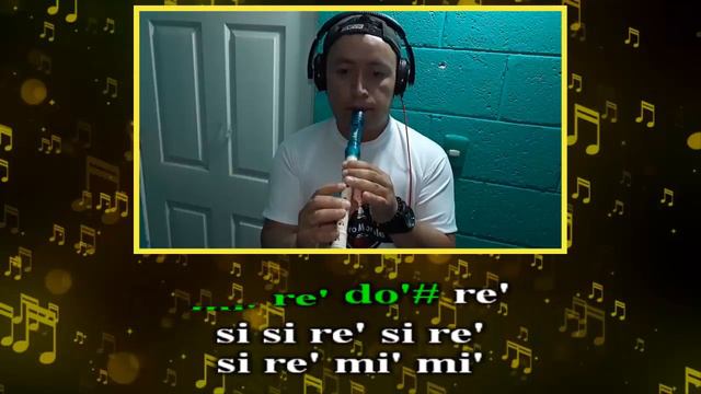 ME ATRAPÓ Ft. Sofía Castro | Javier Ramírez (Flauta dulce con notas) смотреть онлайн