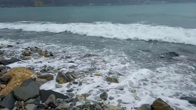 Шум Моря 2022 Новороссийск сегодня Жизнь у моря смотреть онлайн