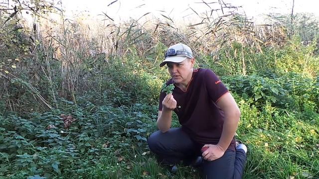 Reality show "Как написать книгу за 90 дней." Приложение День 11 , Александр Удалов, 2014 смотреть онлайн