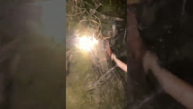 осень#рыбалка#2023#охота#рыба#фонарь#острога смотреть онлайн