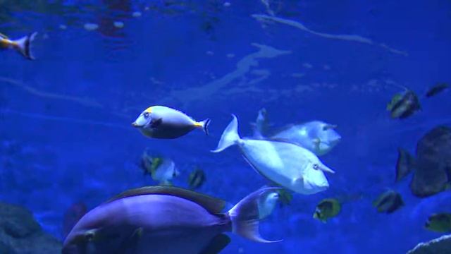 Tourism In Roquetas De Mar – Culture And Tradition