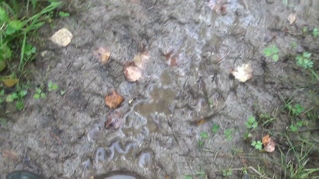 Кормушка для птиц своими руками Хорошо, что взял ружьё смотреть онлайн