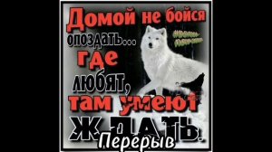 Реакция товарищей Кейла на него