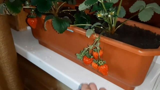 Ретрофильмы и Классика