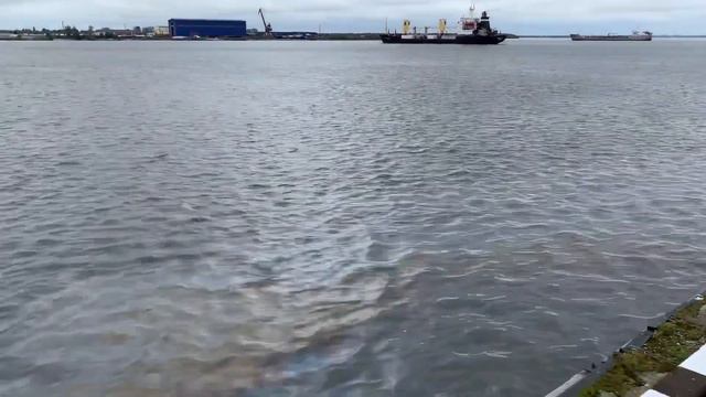 Автопутешествие Часть 3 Архангельск смотреть онлайн
