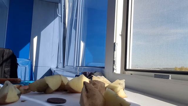 Чистка медных монет в картофеле. смотреть онлайн