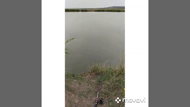 Рыбалка, Ставропольский край, пос. Бородыновка смотреть онлайн