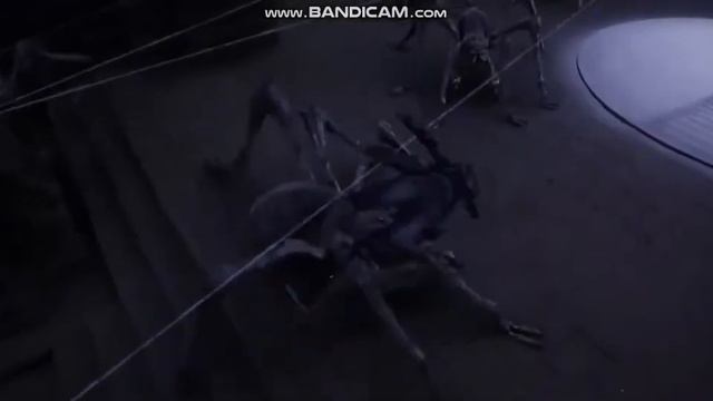 Girl get webbed by giant spider смотреть онлайн