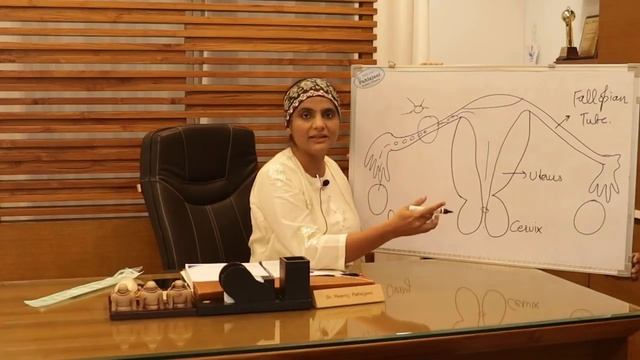 IUI प्रक्रिया कैसे की जाती है? IUI करवाना सबसे उत्तम? IUI Treatment Procedure Cost смотреть онлайн