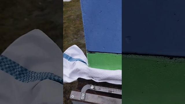 Дачное пчеловодство #Ленинградская обл#дача #пчелы