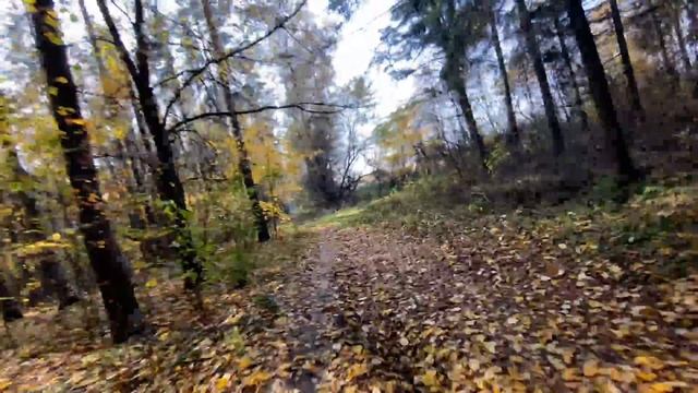 На велосипеде по национальному парку "Лосиный остров". смотреть онлайн