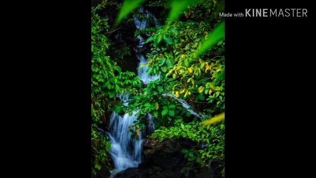 Hasil Foto Kamera Sony DSC H300 смотреть онлайн