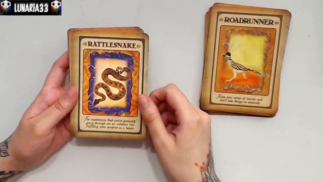 Let's Review Messages from your Animal Spirit Guides Oracle | Deck Review | Flipthrough смотреть онлайн