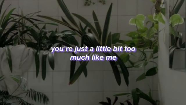 Marina and The Diamonds || Hermit The Frog || (Lyrics) смотреть онлайн