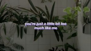 Marina and The Diamonds || Hermit The Frog || (Lyrics)